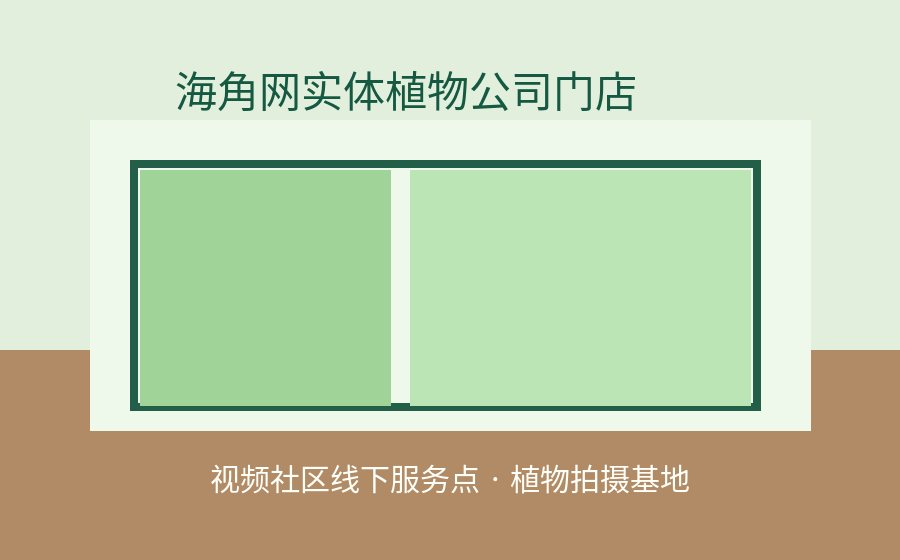 海角社区